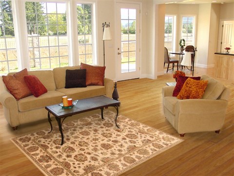 Agra Beige Hand Knotted 52 X 72 Area Rug 250-20676 Image 5