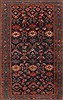 Hamedan Blue Hand Knotted 42 X 68  Area Rug 250-20684 Thumb 0