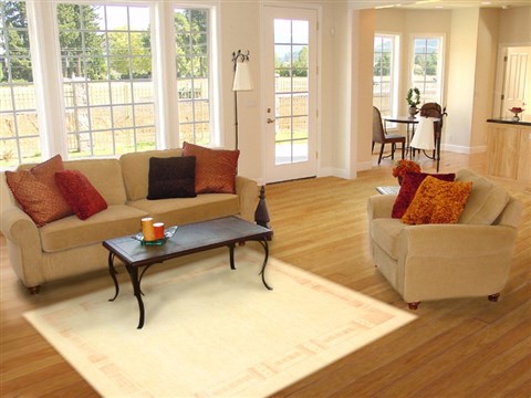 Gabbeh Beige Hand Knotted 50 X 68 Area Rug 250-20692 Image 5