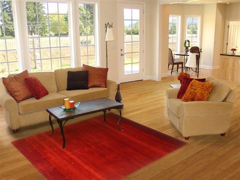 Gabbeh Red Hand Knotted 50 X 69 Area Rug 250-20699 Image 5
