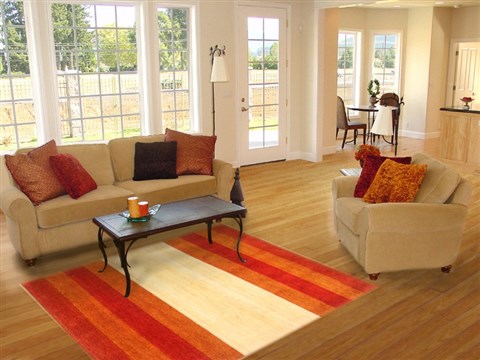 Gabbeh Multicolor Hand Knotted 53 X 73 Area Rug 250-20708 Image 5