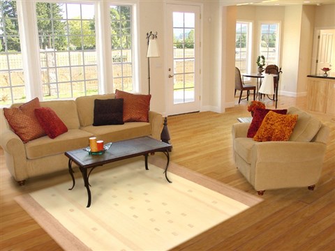 Gabbeh Beige Hand Knotted 50 X 71 Area Rug 250-20711 Image 5