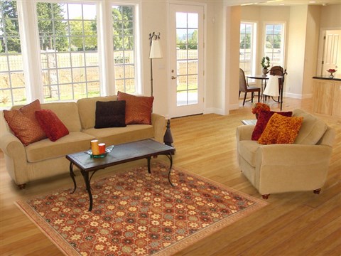 Modern Brown Hand Knotted 50 X 69  Area Rug 250-20720 Image 5