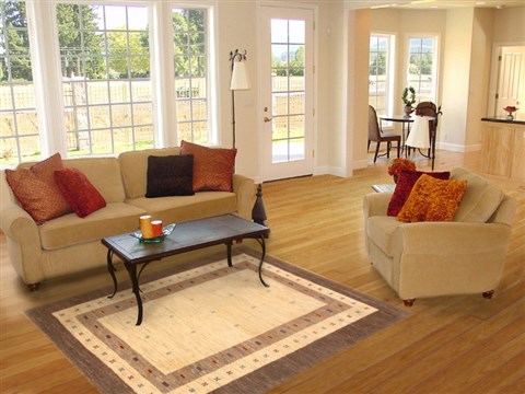 Gabbeh Beige Hand Knotted 45 X 65 Area Rug 250-20723 Image 5