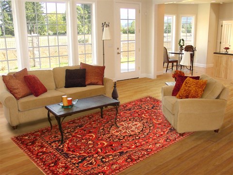 Bakhtiar Red Hand Knotted 611 X 105 Area Rug 100-20737 Image 4