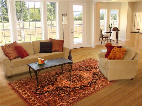 Bakhtiar Yellow Hand Knotted 75 X 101  Area Rug 100-20767 Image 4