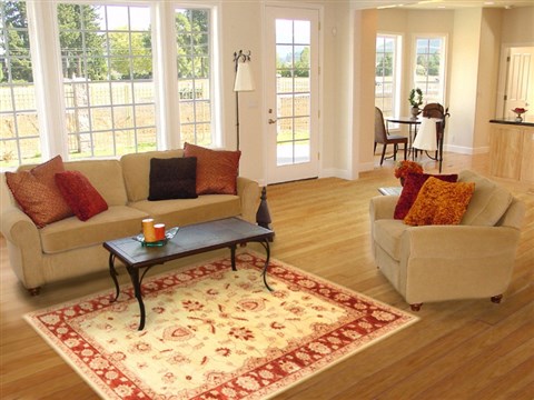 Pishavar Beige Hand Knotted 55 X 74 Area Rug 250-20768 Image 5