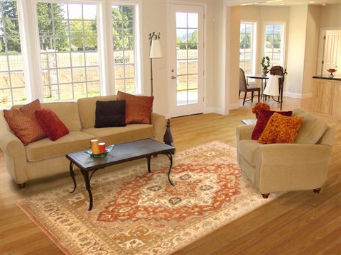 Serapi Brown Hand Knotted 710 X 100 Area Rug 250-20792 Image 4