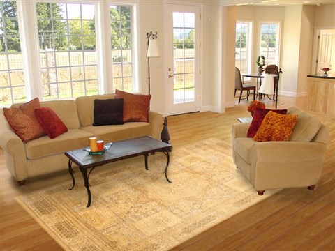 Serapi Beige Hand Knotted 80 X 100 Area Rug 250-20795 Image 4
