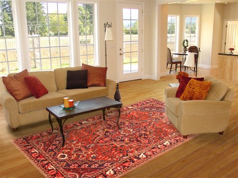 Bakhtiar Red Hand Knotted 70 X 102 Area Rug 100-20806 Image 4