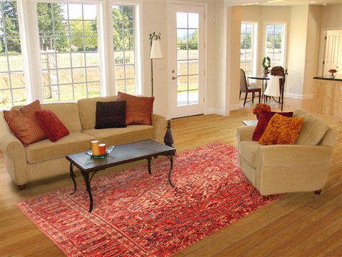 Bakhtiar Red Hand Knotted 68 X 101 Area Rug 100-20812 Image 4