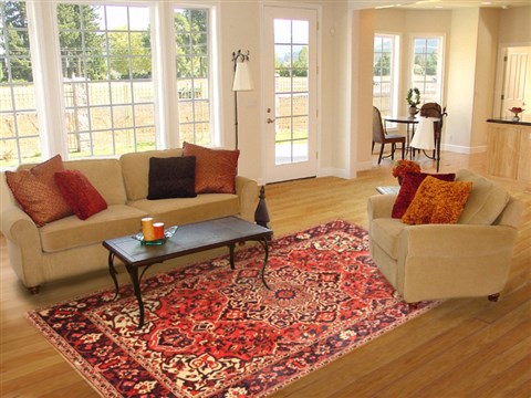 Bakhtiar Red Hand Knotted 71 X 104 Area Rug 100-20821 Image 4