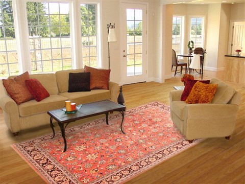 Sarouk Orange Hand Knotted 68 X 911  Area Rug 253-20828 Image 4