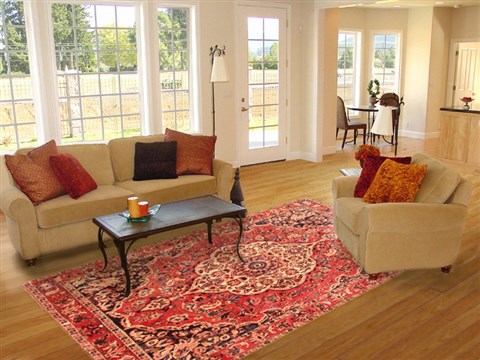 Bakhtiar Red Hand Knotted 69 X 102 Area Rug 100-20830 Image 4