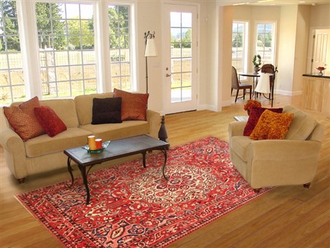 Bakhtiar Red Hand Knotted 611 X 98 Area Rug 100-20854 Image 4
