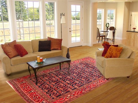 Lilihan Red Hand Knotted 610 X 102 Area Rug 100-20862 Image 4