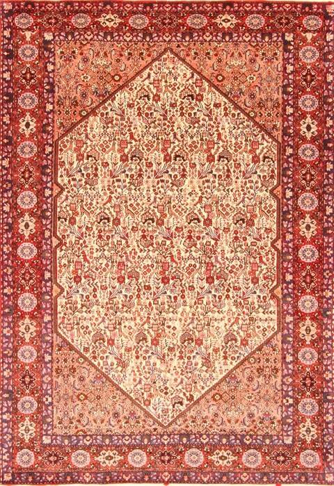 Malayer Brown Hand Knotted 67 X 96  Area Rug 100-20864 Image 0