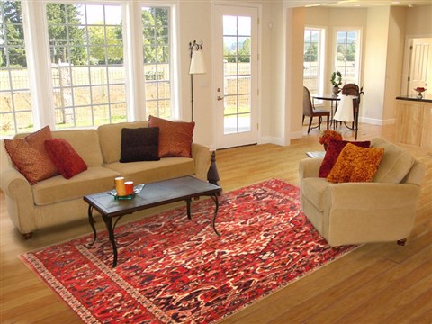 Bakhtiar Red Hand Knotted 69 X 100 Area Rug 100-20869 Image 4