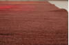 Modern Purple Hand Knotted 82 X 100  Area Rug 250-20876 Thumb 14