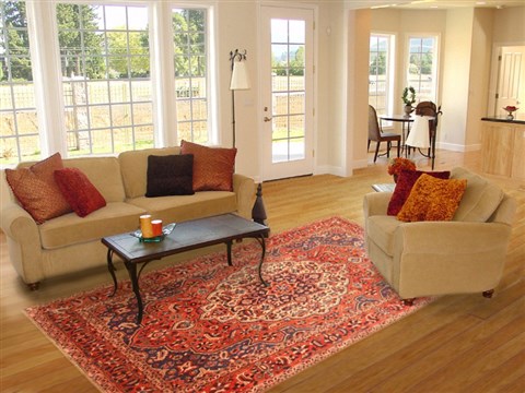 Bakhtiar Red Hand Knotted 67 X 102 Area Rug 100-20896 Image 4