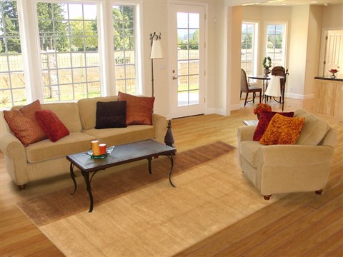 Gabbeh Beige Hand Knotted 82 X 102 Area Rug 250-20991 Image 2