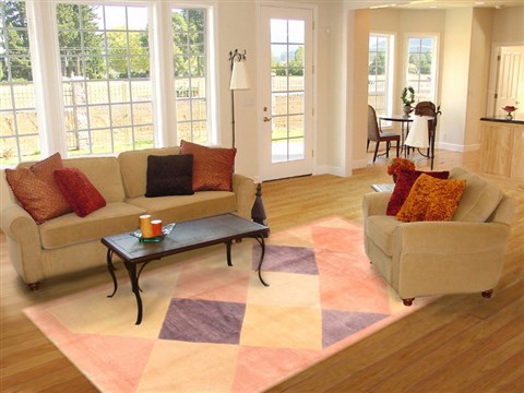 Nepal Multicolor Hand Knotted 80 X 98  Area Rug 253-21026 Image 4