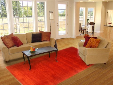 Gabbeh Red Hand Knotted 711 X 98 Area Rug 250-21053 Image 4