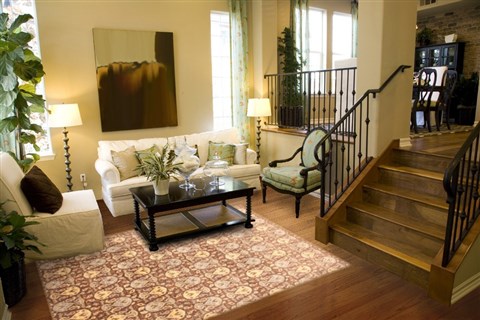 Modern Brown Hand Knotted 80 X 910  Area Rug 250-21090 Image 3
