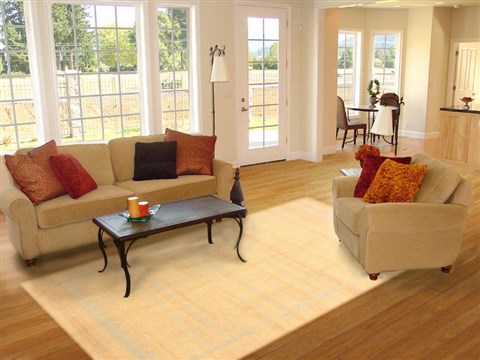 Modern Beige Hand Knotted 80 X 100 Area Rug 250-21100 Image 2