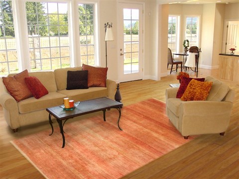 Modern Red Hand Knotted 81 X 102 Area Rug 250-21107 Image 2