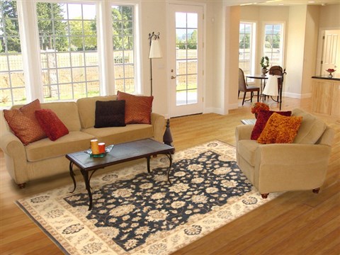 Ziegler Blue Hand Knotted 80 X 105 Area Rug 250-21136 Image 2