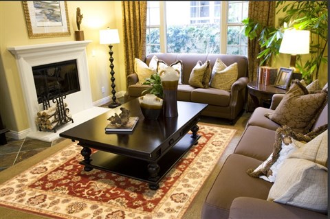Ziegler Brown Hand Knotted 80 X 103 Area Rug 250-21161 Image 4