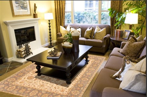 Ziegler Beige Hand Knotted 82 X 102  Area Rug 250-21167 Image 4