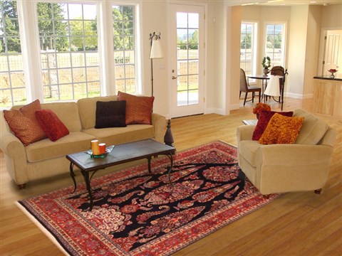 Mood Red Hand Knotted 82 X 113  Area Rug 253-21192 Image 3
