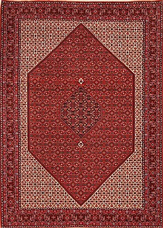 Bidjar Red Hand Knotted 8'3" X 11'8"  Area Rug 100-21194