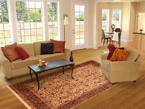 Indo-Nepal Brown Hand Knotted 80 X 910 Area Rug 100-21247 Image 3