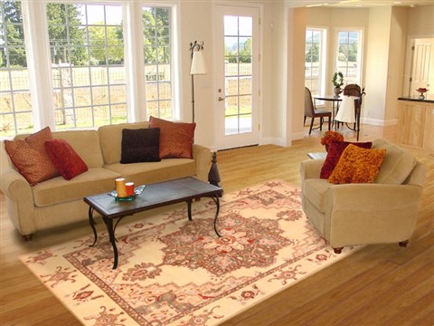 Heriz Beige Hand Knotted 80 X 911 Area Rug 100-21268 Image 3