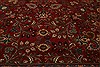 Sarouk Red Hand Knotted 100 X 141  Area Rug 250-21393 Thumb 10