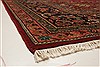 Sarouk Red Hand Knotted 100 X 141  Area Rug 250-21393 Thumb 15