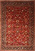 Sarouk Red Hand Knotted 100 X 141 Area Rug 250-21393 Thumb 0