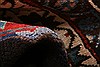 Lilihan Red Hand Knotted 77 X 105 Area Rug 100-21395 Thumb 4