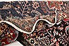 Lilihan Red Hand Knotted 77 X 105  Area Rug 100-21395 Thumb 11