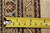 Tabriz Beige Hand Knotted 911 X 136 Area Rug 250-21415 Thumb 15