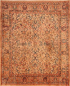 Sarouk Beige Hand Knotted 8'3" X 10'3"  Area Rug 100-21420