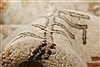 Chobi Beige Hand Knotted 100 X 140 Area Rug 250-21426 Thumb 3