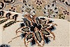 Nain White Hand Knotted 98 X 140 Area Rug 250-21442 Thumb 10