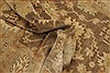 Oushak Brown Hand Knotted 82 X 99 Area Rug 250-21461 Thumb 5