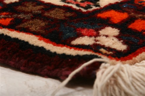 Bakhtiar Red Hand Knotted 88 X 117 Area Rug 100-21464 Image 26