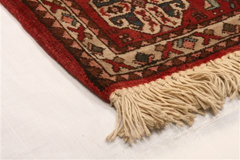 Abadeh Brown Runner Hand Knotted 22 X 52 Area Rug 253-21546 Image 13