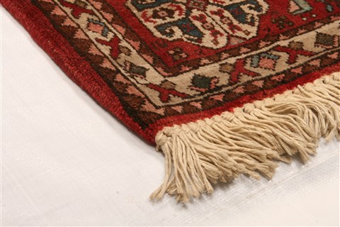 Abadeh Brown Runner Hand Knotted 22 X 52 Area Rug 253-21546 Image 14